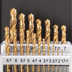 Набор сверл по металлу 1-10мм 19шт DIN338 HSS-G TiN 118° (мет. кейс) Terrax by Ruko A250214T