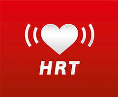 SVENSSON BODY LABS HEAVY G RECUMBENT