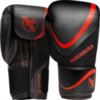 Перчатки Hayabusa H5 Black/Red