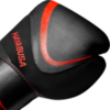 Перчатки Hayabusa H5 Black/Red