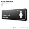 Табличка Туалет для девочек, 30х10 см, для офиса, кафе, магазина, паркинга, серия COSMO, Айдентика Технолоджи