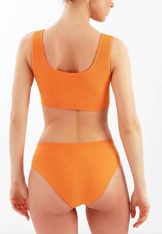 Бесшовные трусы слип в рубчик с высокой талией WHB 001 Teksa