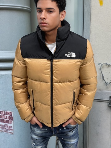 Куртка The North Face 374982bej