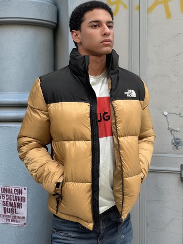 Куртка The North Face 374982bej