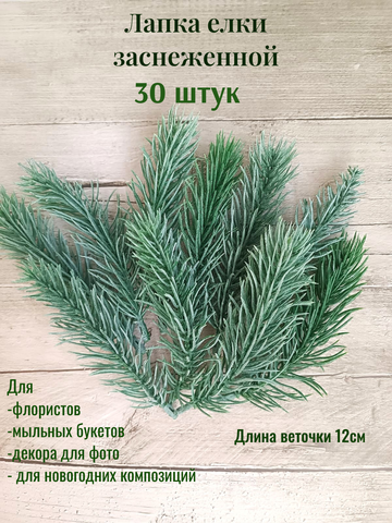 Лапка елки снежной 30шт