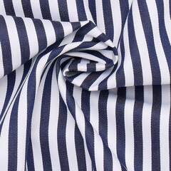 Сорочка мужская Eterna Modern Fit 1056-X11U-18 в броские тёмно-синие полоски