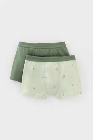 трусы/ уп  для мальчика  К 1980-2уп/папоротник,морская пена