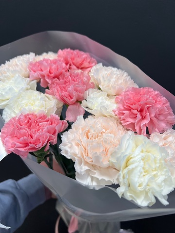 Нежные гвоздики