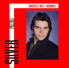 Silvio Pozzoli / Greatest Hits & Remixes (LP)