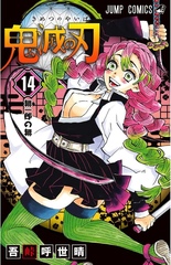 Demon Slayer: Kimetsu No Yaiba Kimetsu no Yaiba на японском. Том 14
