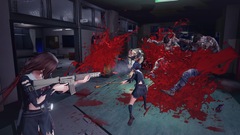 SG ZH School Girl Zombie Hunter (для ПК, цифровой код доступа)