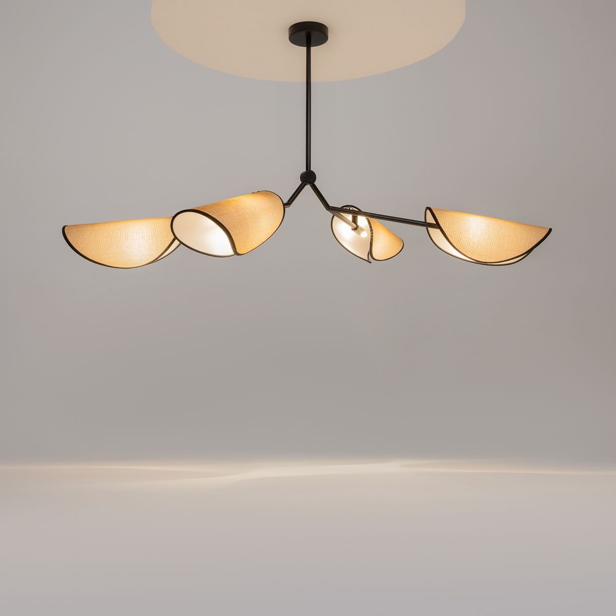 Подвесная люстра Maytoni Organic MOD225PL-04B