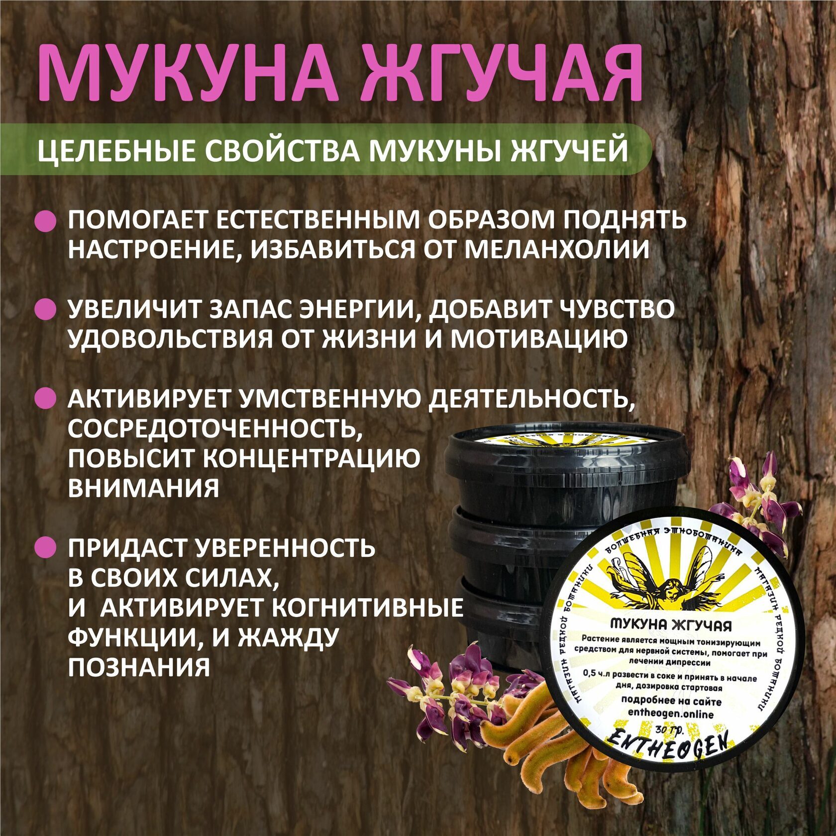 Мукуна Жгучая экстракт 25% L-DOPA, Капикаччу (Mukuna Pruriens, Kapikachhu)
