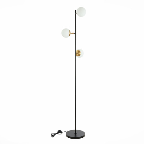 Светильник напольный Evoluce Forli SLE220405-03