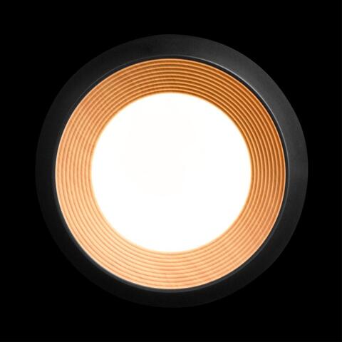 Потолочный светодиодный светильник Loft It Folk 10255/350 Black