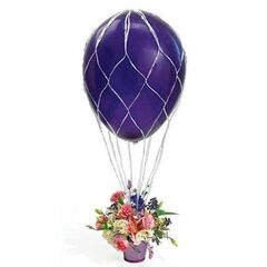 Сетка на шар, Белый, 36