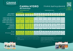 Canna Rhizotonic