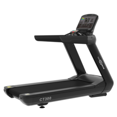 Беговая дорожка CardioPower PRO CT300