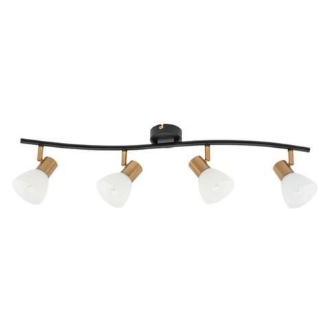 Потолочный светильник Arte Lamp FALENA A3117PL-4BK