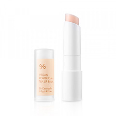 Бальзам для губ Dr.Ceuracle Vegan Kombucha Tea Lip Balm 3.7 г