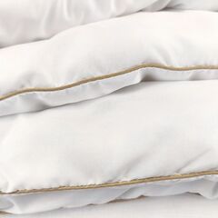 Одеяло 2-сп, 172х205 см, Хлопок, полиэф в-но, всесезон, чех 100% п/э, кант, Phyto Stories