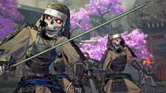 Samurai Maiden Deluxe Edition (для ПК, цифровой код доступа)