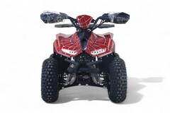 Детский электрический квадроцикл RiverToys LEON 1200W