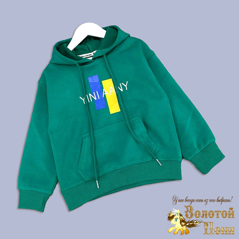Толстовка трикотаж м (5-9) 250823-NB484