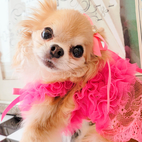 376 Сарафан-маечка кружевной "Белиссия" Wooflink