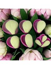 Молды пластиковые+вайнер силиконовый Набор 