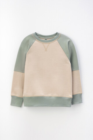 джемпер  для мальчика  КР 302161/темно-бежевый