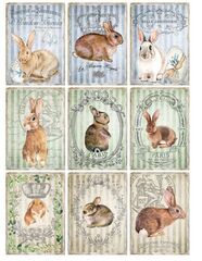 0116 Пленочный трансфер ProArt