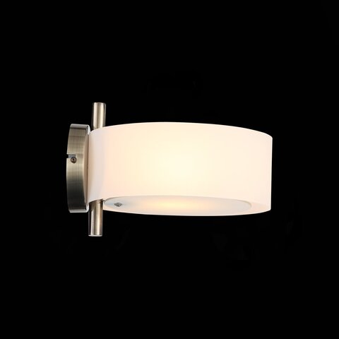 Светильник настенный Evoluce Foresta SL483.351.01