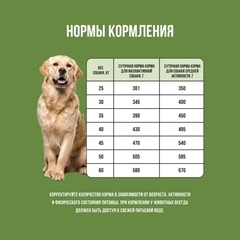 BOWL WOW сухой корм для собак крупных пород с ягненком, индейкой, рисом, цукини 2 кг