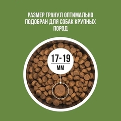 BOWL WOW сухой корм для собак крупных пород с ягненком, индейкой, рисом, цукини 2 кг