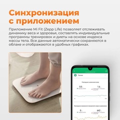 Умные весы Xiaomi Mi Smart Scale 2