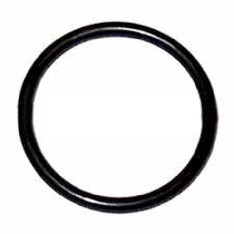 314881 Уплотнительное кольцо