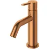 Cezares LEAF-LSM2-SS LEAF-LSM2-SS Смеситель для раковины однорычажный, с донным клапаном, исполнение sunset