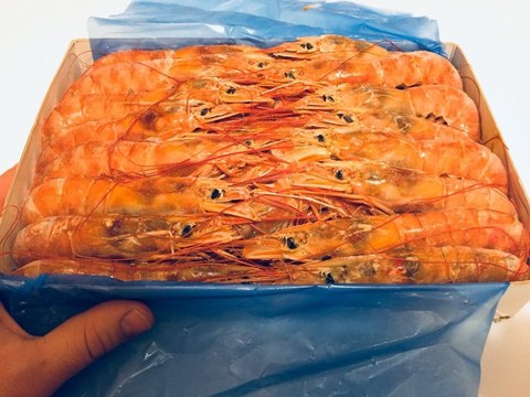Лангустины крупные с головой 2 кг. (Аргентина)