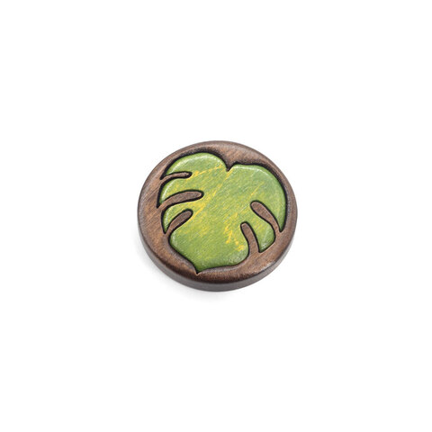 Лист монстеры