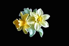 Силиконовый молд 