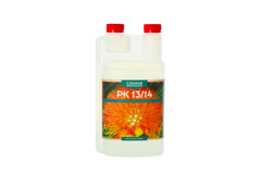Canna PK 13/14