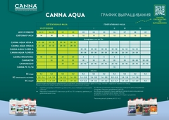 Canna Rhizotonic