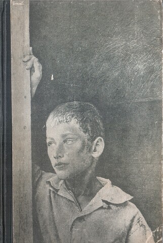 Над пропастью во ржи. Выше стропила, плотники. Хорошо ловится рыбка-бананка