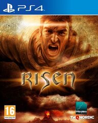 Risen (диск для PS4, полностью на русском языке)
