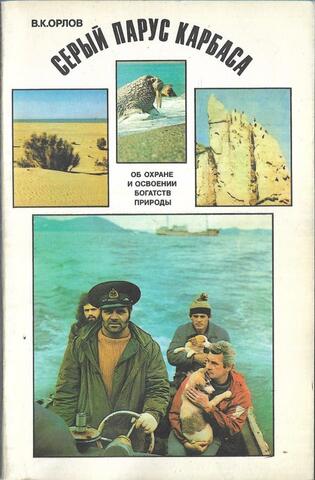 Серый парус карбаса