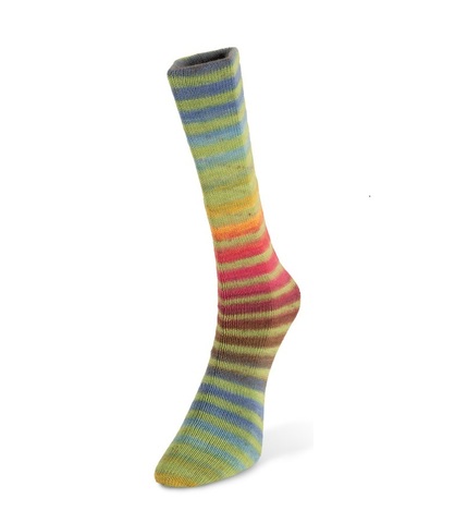 Laines Du Nord Paint Sock 060