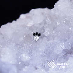 Paw IS Crystal & Black