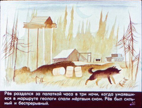 Диафильмы / Набор О животных и природе / 4 пленки