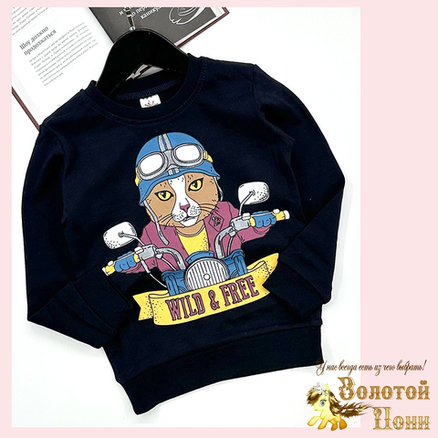 Свитшот хлопок м (6-9) 251128-SSD166